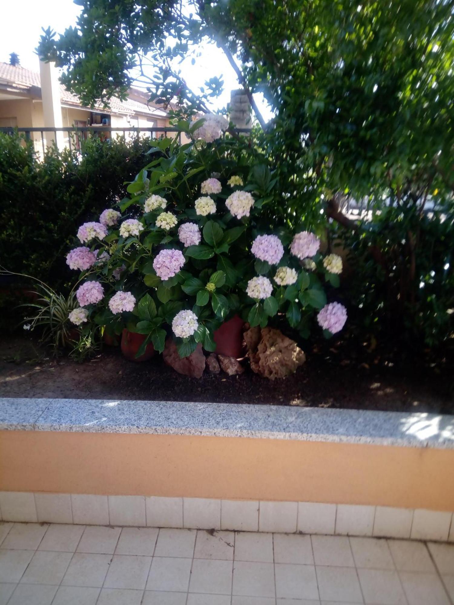 Casa Al Mare Con Giardino Vila Alghero Exterior foto